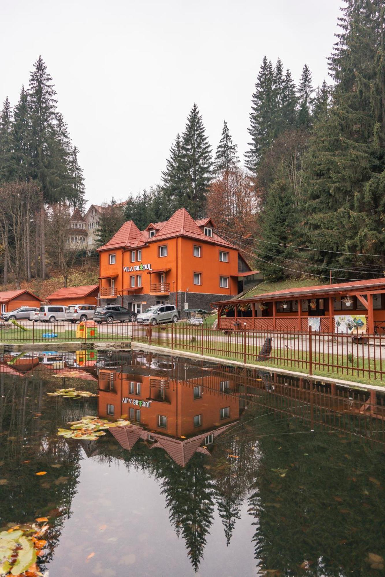 Vila Bradul Lacul Roșu Exterior foto