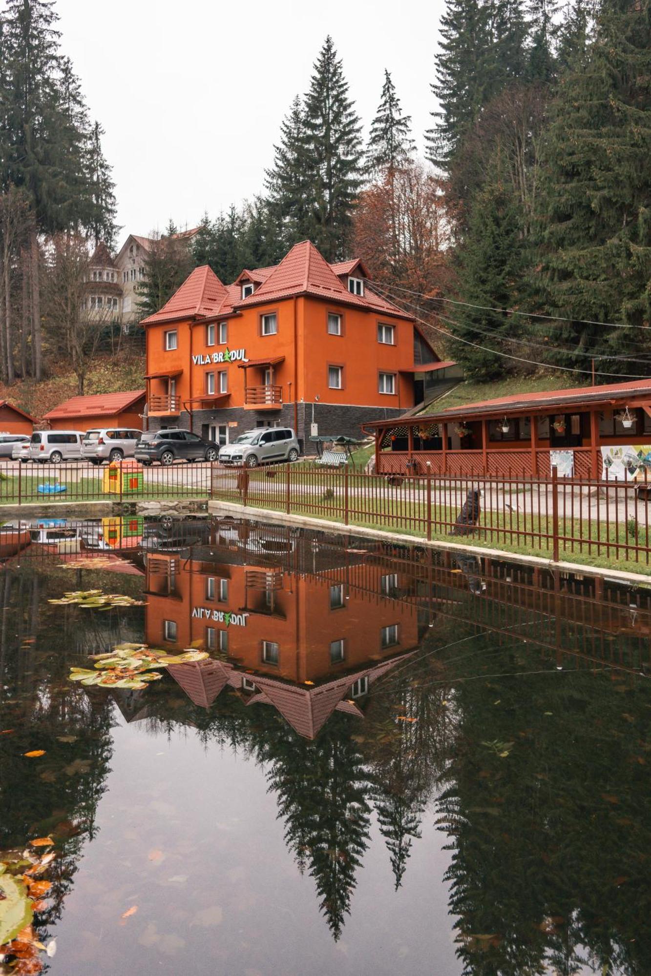 Vila Bradul Lacul Roșu Exterior foto